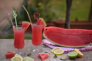 清涼一夏 自制水果冰沙與玻璃飲品，盡享健康美味